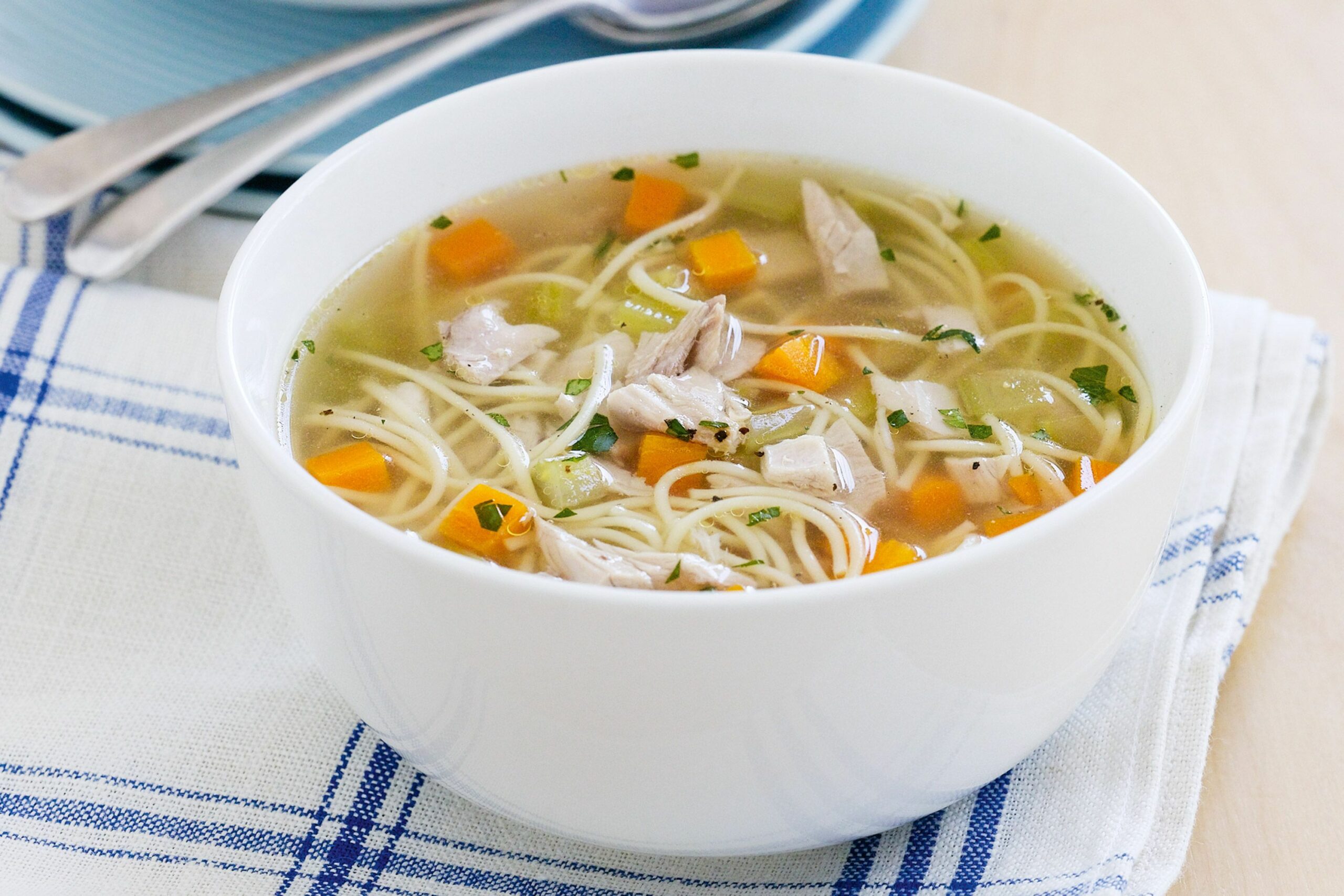 chicken-noodle-soup