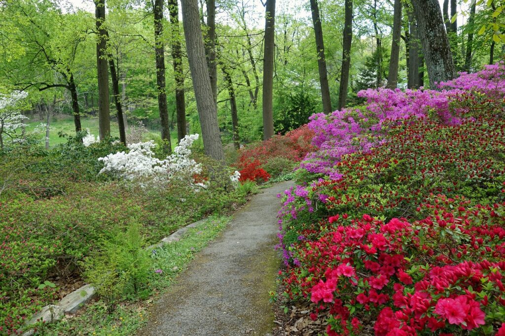 arboretum, devon, pennsylvania